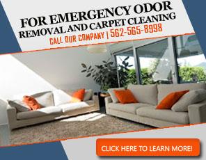 House Carpet Cleaning - Carpet Cleaning Artesia, CA