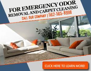 Blog | How To Proceed In Case Of Water Damage In Your Home