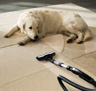 Is It Time To Have Your Carpets Cleaned?